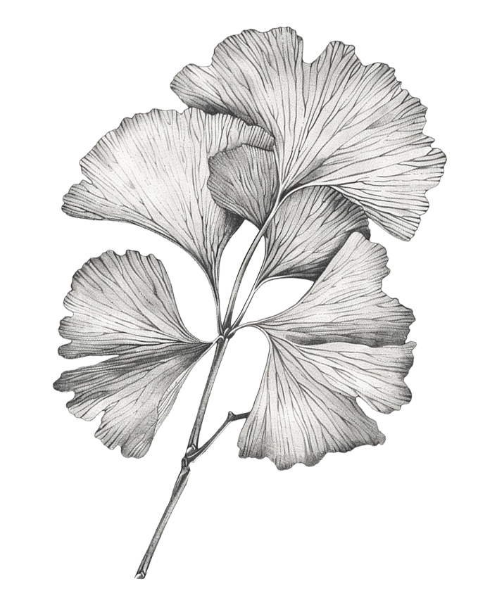 flowerG